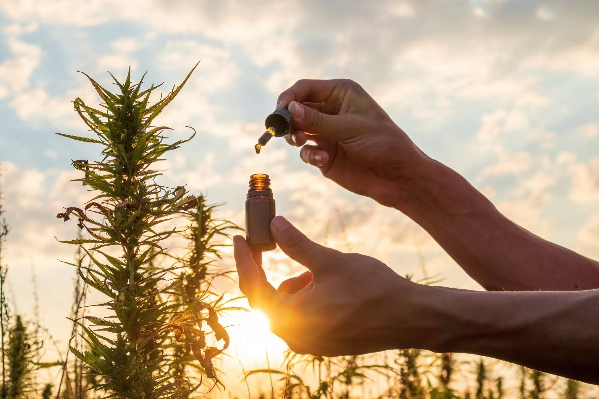 Los beneficios del cannabidiol para dormir, CBD Wonderfull