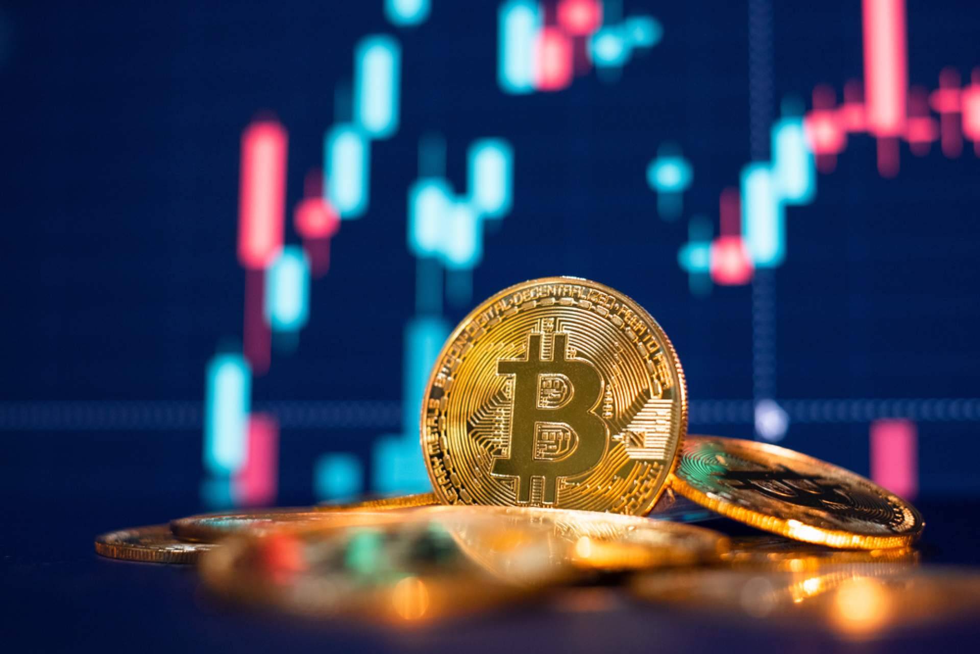 Casino Bee, análisis y comparativa de casinos con criptomonedas